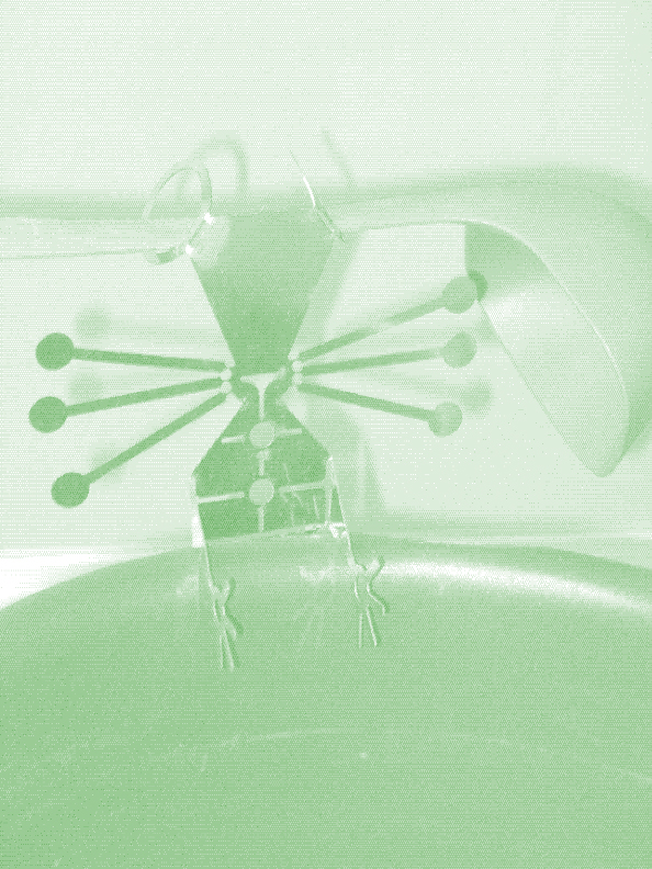 housemouse